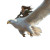 Eagle Rider Vinyl Car Decal Sticker – Waterproof & UV-Resistant 8"