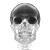 Xray Skull Bones Vinyl Car Decal Sticker – Waterproof & UV-Resistant 8"