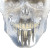 Zygomatic Dental Implants Vinyl Car Decal Sticker – Waterproof & UV-Resistant 8"