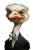 Merz Ostrich Caricature Vinyl Car Decal Sticker – Waterproof & UV-Resistant 8"
