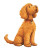 Golden Doodle Wagging Vinyl Car Decal Sticker – Waterproof & UV-Resistant 8"