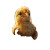 Hatching Chicken Vinyl Car Decal Sticker – Waterproof & UV-Resistant 8"