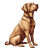 Sitting Brown Labrador Vinyl Car Decal Sticker – Waterproof & UV-Resistant 8"