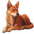 Reddish Brown Dog Vinyl Car Decal Sticker – Waterproof & UV-Resistant 8"