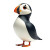 Shiny Plastic Puffin Vinyl Car Decal Sticker – Waterproof & UV-Resistant 8"