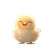 Baby Chick Label Vinyl Car Decal Sticker – Waterproof & UV-Resistant 8"