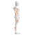 Health Posture Analysis Vinyl Car Decal Sticker – Waterproof & UV-Resistant 8"