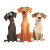 Three Cartoon Dogs Vinyl Car Decal Sticker – Waterproof & UV-Resistant 8"