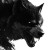 Angry Old Wolf Vinyl Car Decal Sticker – Waterproof & UV-Resistant 8"