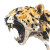 Ancient Cheetah Growling Vinyl Car Decal Sticker – Waterproof & UV-Resistant 8"