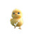 Cute Baby Chicken V3 Vinyl Car Decal Sticker – Waterproof & UV-Resistant 8"