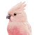 Pink Bird Vinyl Car Decal Sticker – Waterproof & UV-Resistant 8"