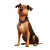 Confident Pixar Dog Vinyl Car Decal Sticker – Waterproof & UV-Resistant 8"