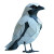 Minimalist Crow Sculpture Vinyl Car Decal Sticker – Waterproof & UV-Resistant 8"