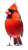 Vibrant Cardinal Bird Vinyl Car Decal Sticker – Waterproof & UV-Resistant 8"