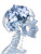 Floral Skull X-Ray V2 Vinyl Car Decal Sticker – Waterproof & UV-Resistant 8"