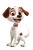 Disney-Style Cartoon Dog Vinyl Car Decal Sticker – Waterproof & UV-Resistant 8"