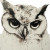Neoclassical Owl Portrait Vinyl Car Decal Sticker – Waterproof & UV-Resistant 8"