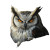 Angry Owl Vinyl Car Decal Sticker – Waterproof & UV-Resistant 8"