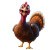 Happy Clumsy Turkey Vinyl Car Decal Sticker – Waterproof & UV-Resistant 8"