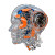 Robotic Head Art Vinyl Car Decal Sticker – Waterproof & UV-Resistant 8"