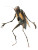 Humanoid Insect V2 Vinyl Car Decal Sticker – Waterproof & UV-Resistant 8"