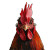 Frowning Rooster Vinyl Car Decal Sticker – Waterproof & UV-Resistant 8"
