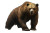 Majestic Brown Bear V2 Vinyl Car Decal Sticker – Waterproof & UV-Resistant 8"