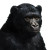 Bear Gorilla Vinyl Car Decal Sticker – Waterproof & UV-Resistant 8"