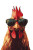 Cool Chicken Vinyl Car Decal Sticker – Waterproof & UV-Resistant 8"
