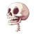 Cartoon Skull Spine Vinyl Car Decal Sticker – Waterproof & UV-Resistant 8"