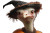 Ostrich Witch Hat Vinyl Car Decal Sticker – Waterproof & UV-Resistant 8"