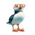 Fashionable Puffin Vinyl Car Decal Sticker – Waterproof & UV-Resistant 8"