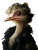 Rococo Ostrich Vinyl Car Decal Sticker – Waterproof & UV-Resistant 8"