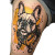 Borderlands Tattoo Bulldog Vinyl Car Decal Sticker – Waterproof & UV-Resistant 8"