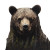 Bear V20 Vinyl Car Decal Sticker – Waterproof & UV-Resistant 8"