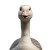 Front View Goose Vinyl Car Decal Sticker – Waterproof & UV-Resistant 8"