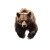Epic Bear Vinyl Car Decal Sticker – Waterproof & UV-Resistant 8"