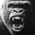 Gorilla Face Vinyl Car Decal Sticker – Waterproof & UV-Resistant 8"
