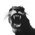 Snarling Lion V3 Vinyl Car Decal Sticker – Waterproof & UV-Resistant 8"