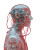 Translucent Glass Human Vinyl Car Decal Sticker – Waterproof & UV-Resistant 8"
