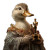 Duck In Gown Vinyl Car Decal Sticker – Waterproof & UV-Resistant 8"