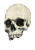 Vibrant Ink Skull Vinyl Car Decal Sticker – Waterproof & UV-Resistant 8"