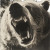 Angry Bear Close-Up V5 Vinyl Car Decal Sticker – Waterproof & UV-Resistant 8"