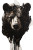 Expressionistic Bear Head Vinyl Car Decal Sticker – Waterproof & UV-Resistant 8"