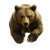 Fast Running Bear Vinyl Car Decal Sticker – Waterproof & UV-Resistant 8"