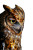 Owl Face Close-Up Vinyl Car Decal Sticker – Waterproof & UV-Resistant 8"