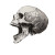 Screaming Skull Profile V3 Vinyl Car Decal Sticker – Waterproof & UV-Resistant 8"