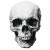 Realism Skull Vinyl Car Decal Sticker – Waterproof & UV-Resistant 8"
