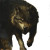 Bad Wolf Vinyl Car Decal Sticker – Waterproof & UV-Resistant 8"